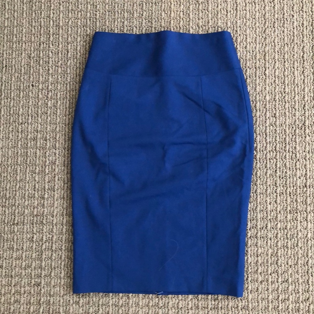 Express Pencil Skirt